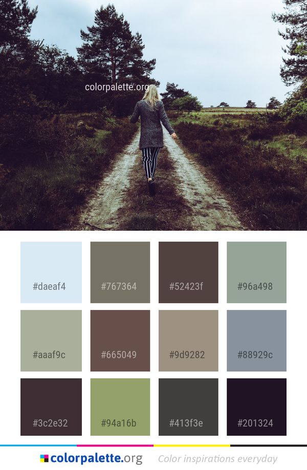Land Vehicle Path Tree Color Palette