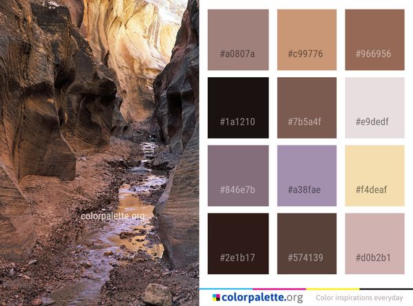 Narrows Rock Canyon Color Palette