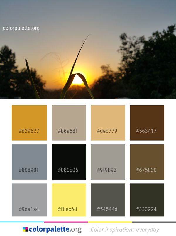 Sky Evening Morning Color Palette