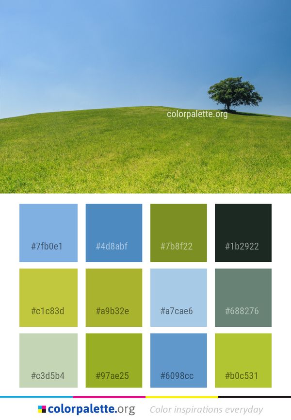 Sky Grassland Hill Color Palette