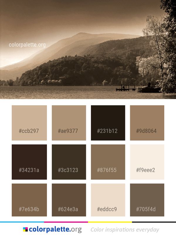 Sky Nature Tree Color Palette