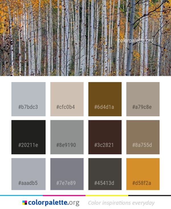 Tree Birch Grove Color Palette