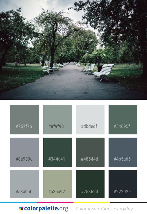 Tree Nature Green Color Palette