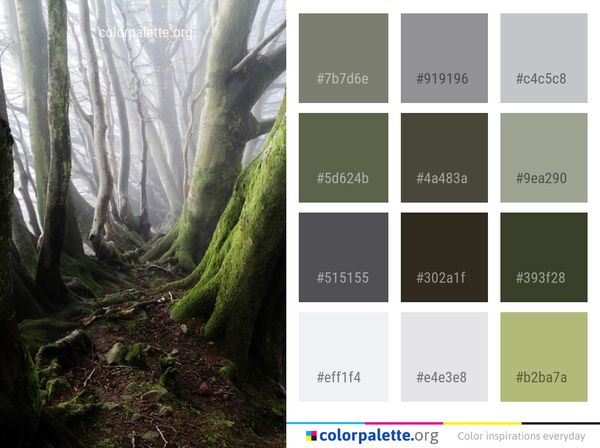 Tree Woodland Forest Color Palette