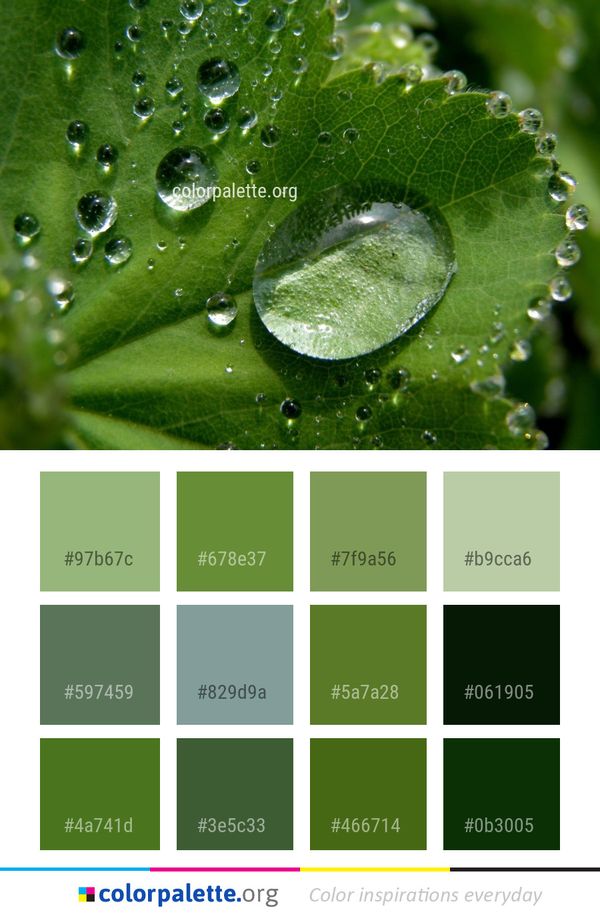 Water Dew Drop Color Palette