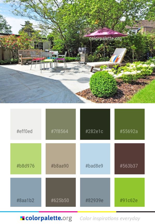 Yard Backyard Property Color Palette