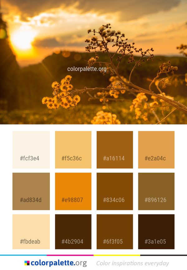 Yellow Sky Sunlight Color Palette