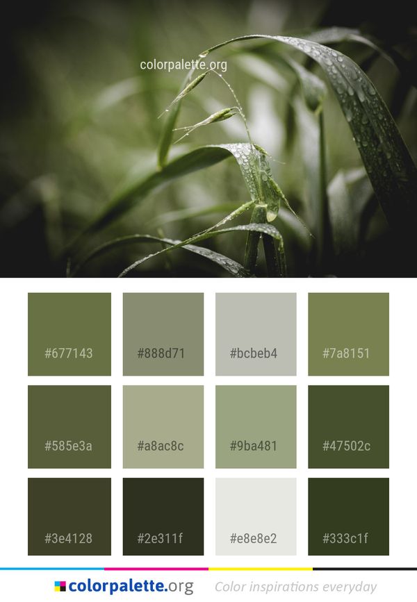 Close Up Leaf Flora Color Palette