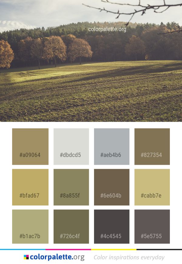 Field Leaf Sky Color Palette
