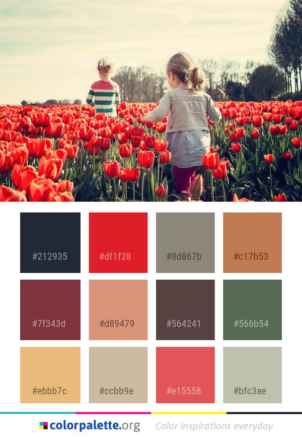 Flower Plant Flowering Color Palette