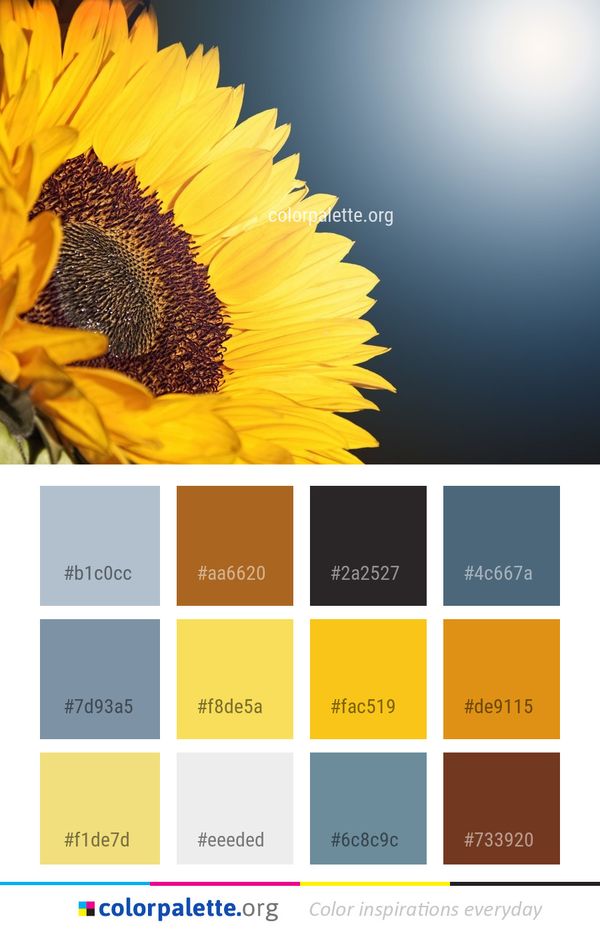 Flower Sunflower Yellow Color Palette