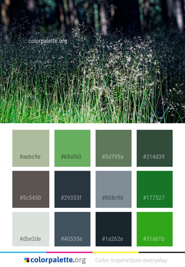 Grass Plant Ecosystem Color Palette