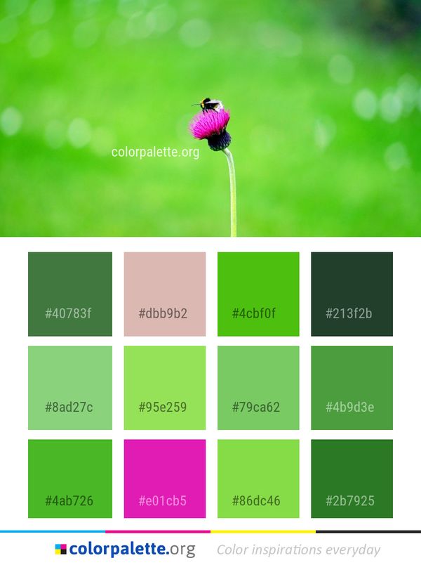 Green Flower Leaf Color Palette