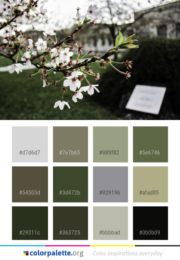 Plant Blossom Spring Color Palette