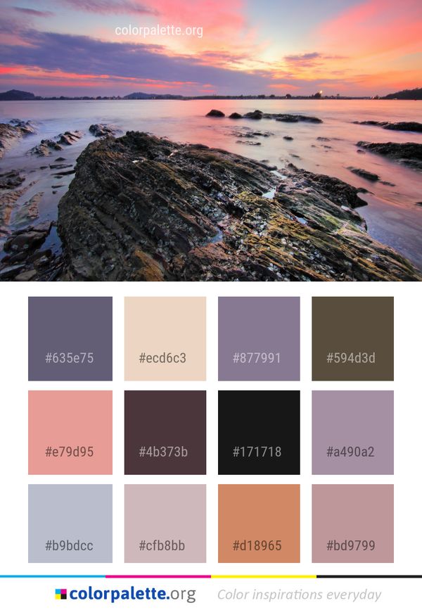 Shore Sky Coast Color Palette