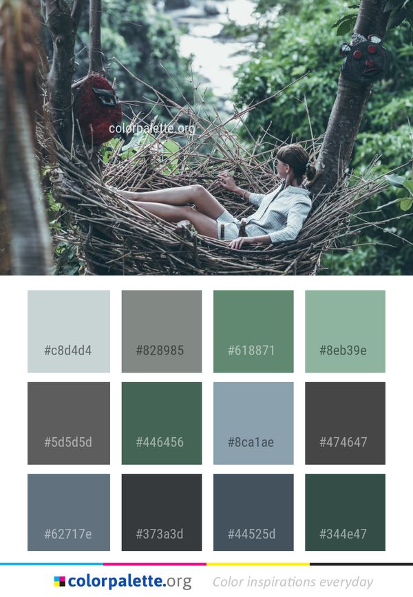 Tree Jungle Plant Color Palette