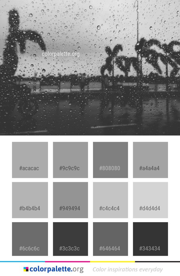 Water Reflection Black Color Palette
