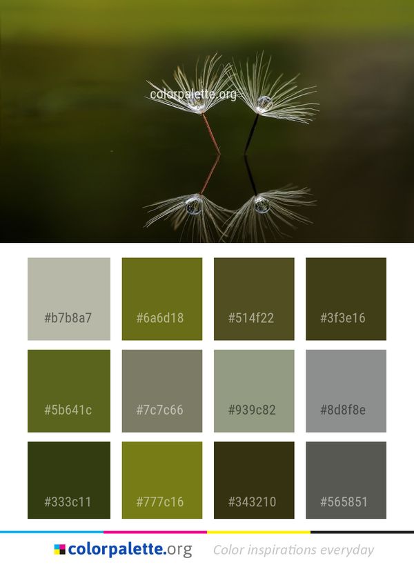 Flora Close Up Macro Photography Color Palette