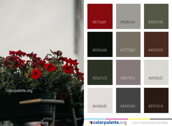 Flower Plant Red Color Palette