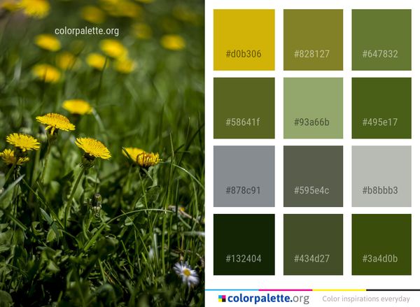 Flower Yellow Plant Color Palette