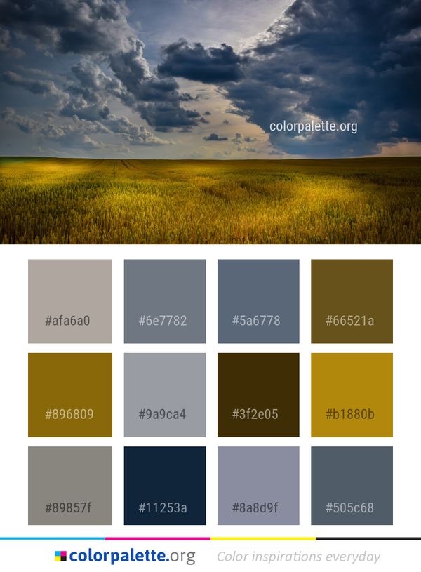 Grassland Sky Ecosystem Color Palette