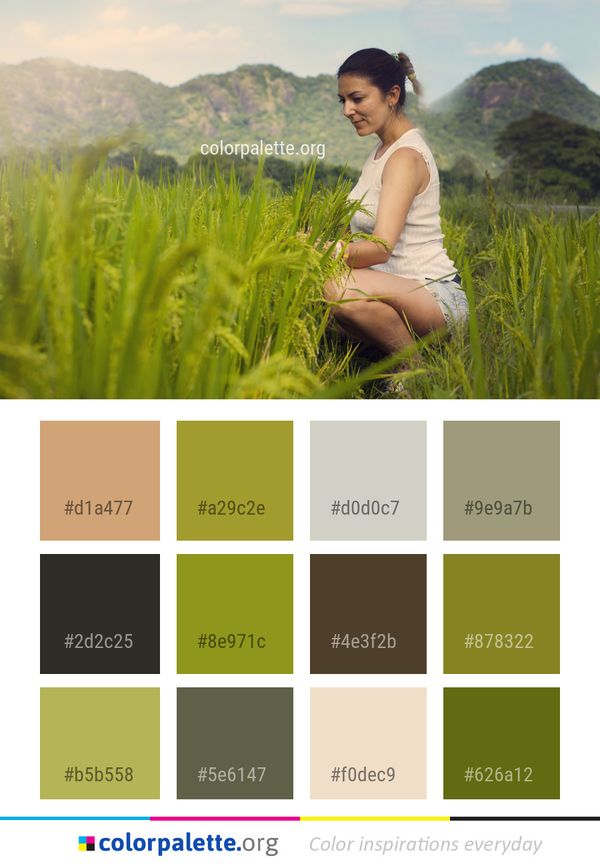Green Grassland Nature Color Palette