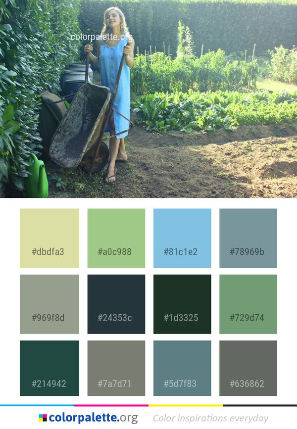 Green Plant Grass Color Palette