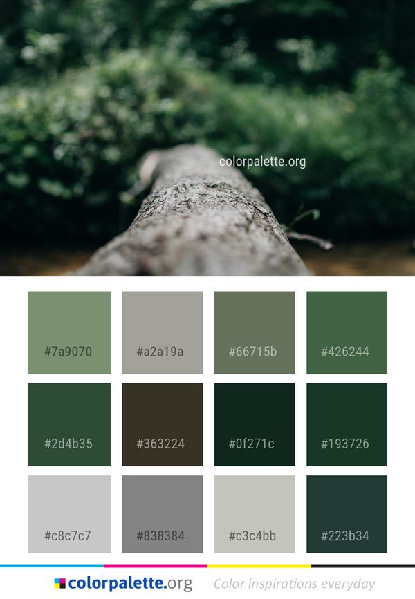 Green Water Nature Color Palette