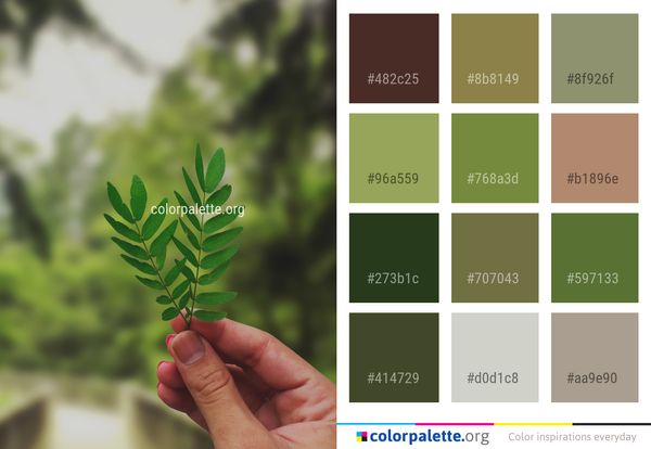 Leaf Plant Tree Color Palette