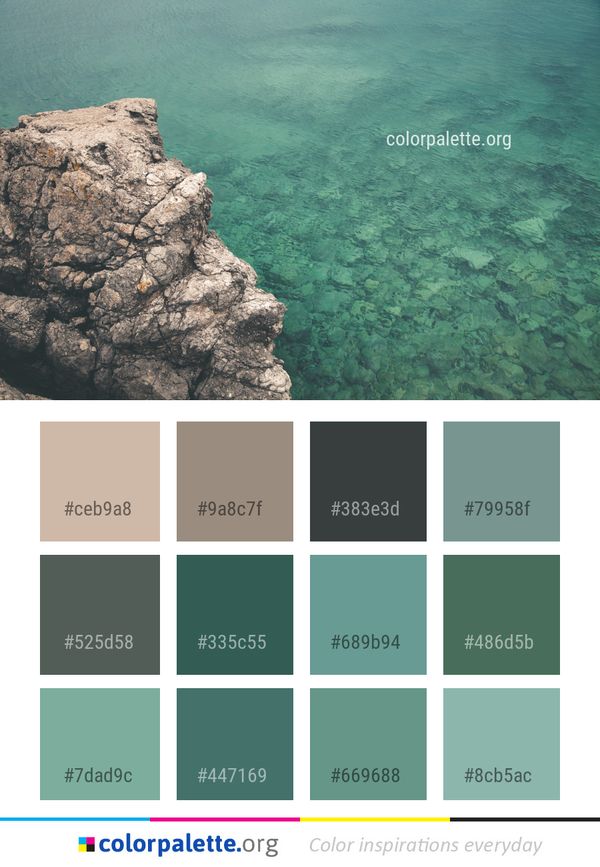 Sea Water Reef Color Palette