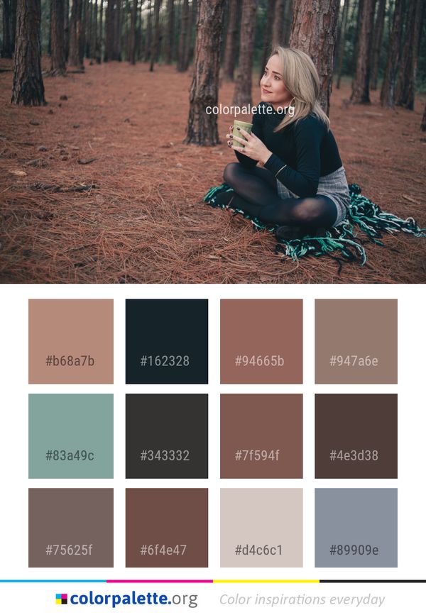 Tree Photograph Nature Color Palette
