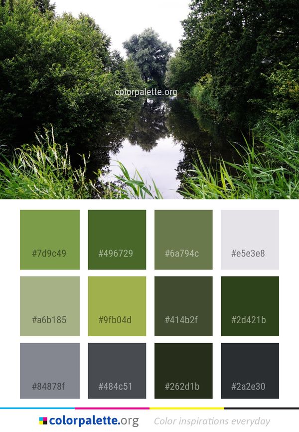 Waterway Vegetation Nature Color Palette