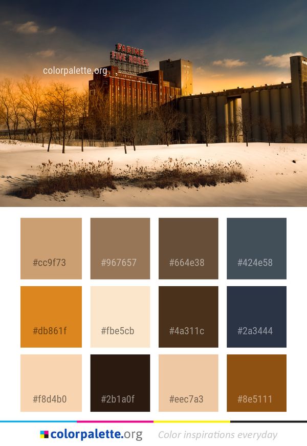 Winter Sky Snow Color Palette