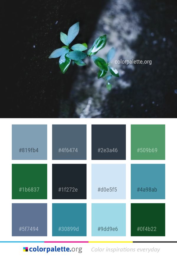Green Leaf Flora Color Palette