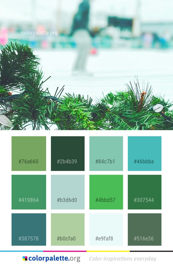 Green Tree Grass Color Palette