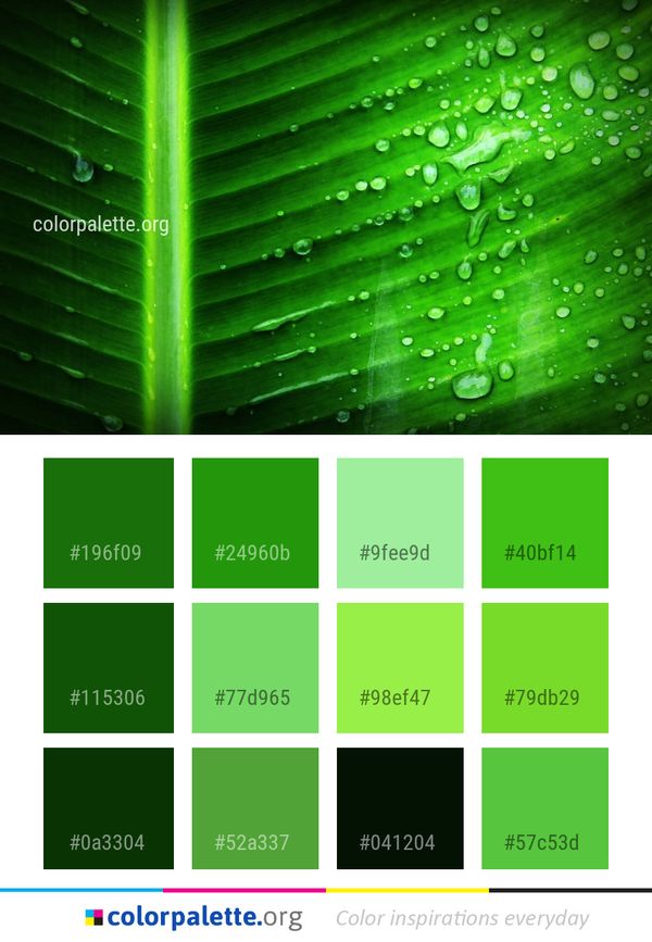 Green Water Dew Color Palette