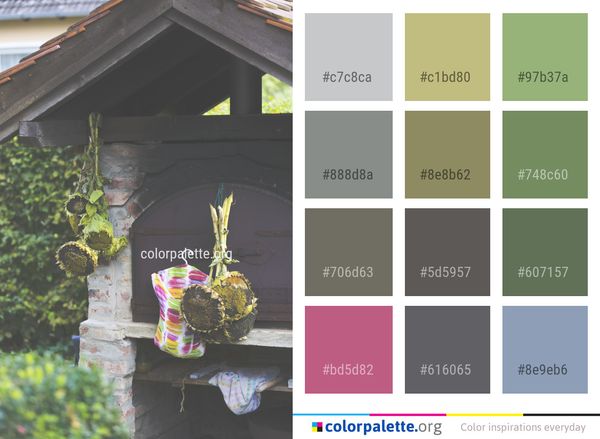 Leaf Yellow Plant Color Palette