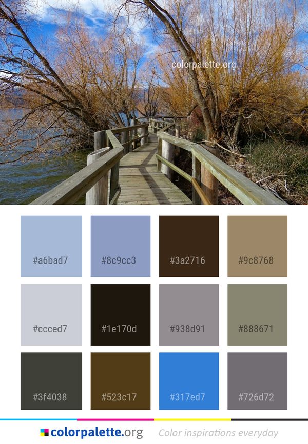 Nature Water Tree Color Palette