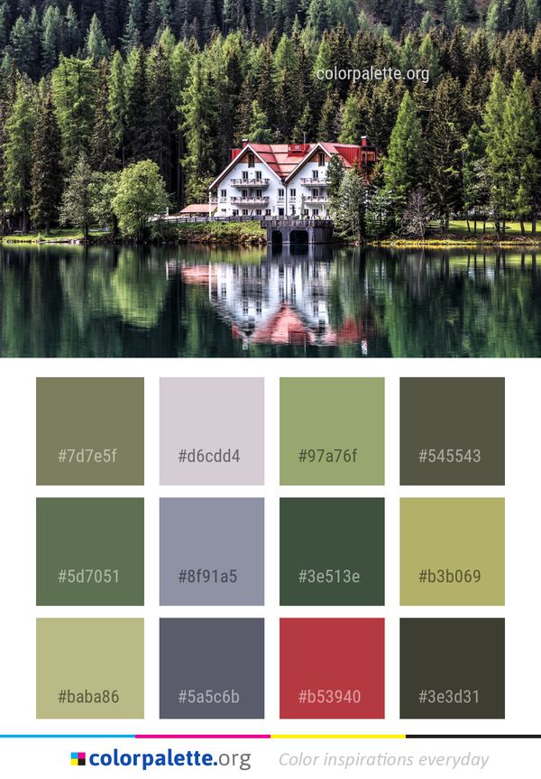 Reflection Nature Water Color Palette