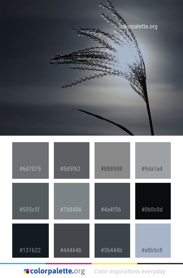 Sky Black And White Close Up Color Palette