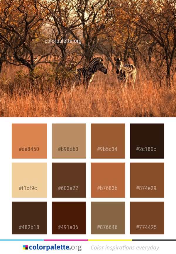 Wildlife Grassland Ecosystem Color Palette