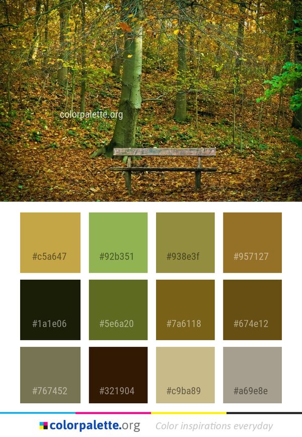 Woodland Nature Forest Color Palette
