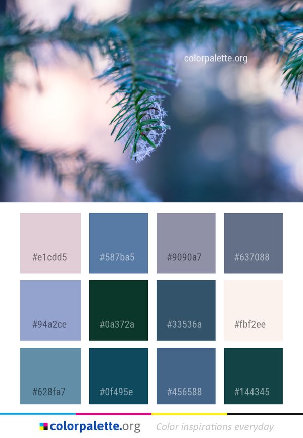Blue Nature Branch Color Palette
