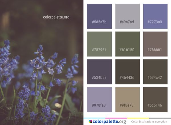 Flora Lavender Lilac Color Palette