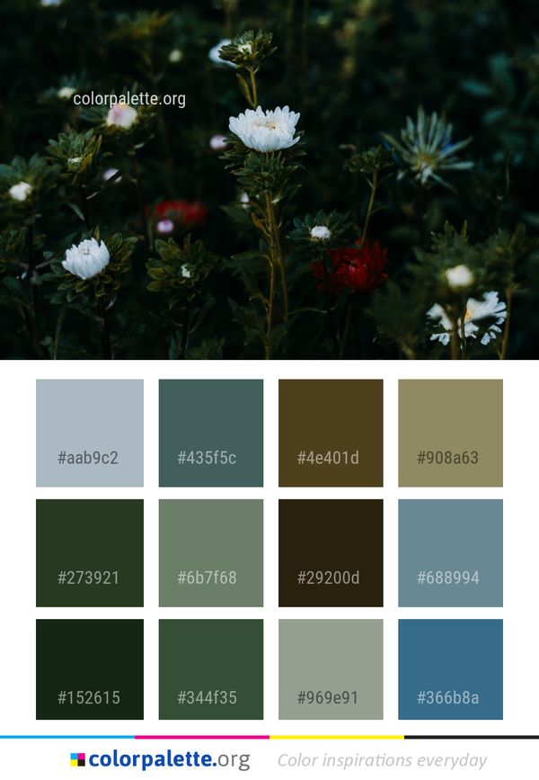 Flower Plant Flora Color Palette