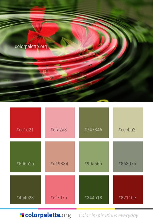 Green Macro Photography Close Up Color Palette