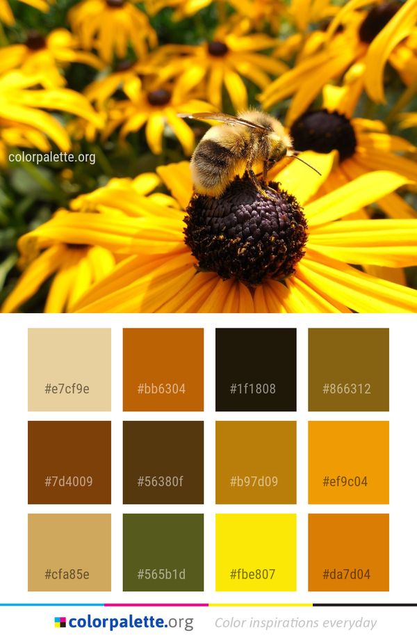 Honey Bee Yellow Color Palette