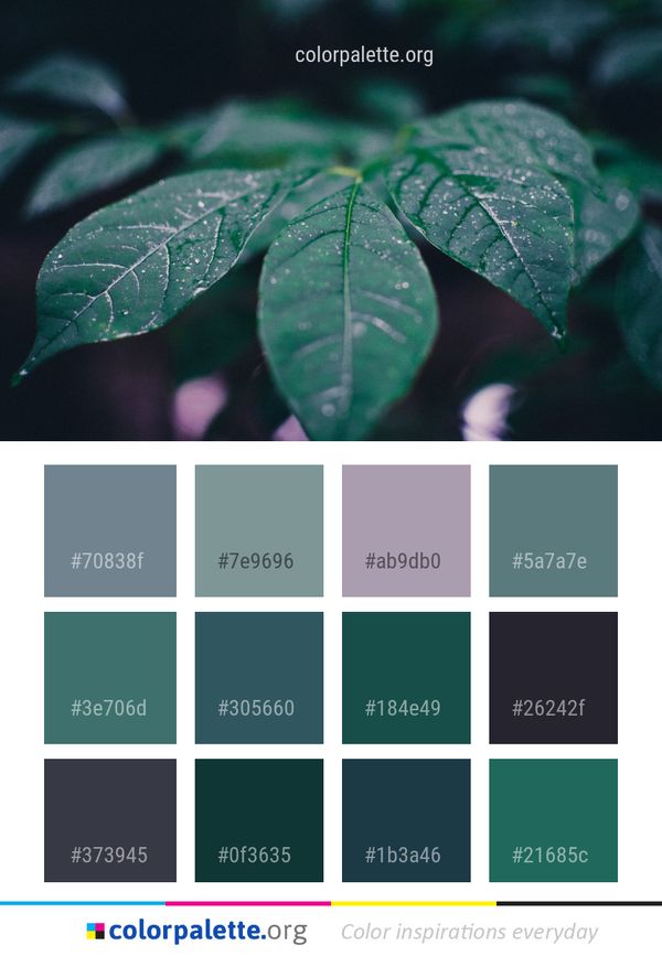 Leaf Green Close Up Color Palette