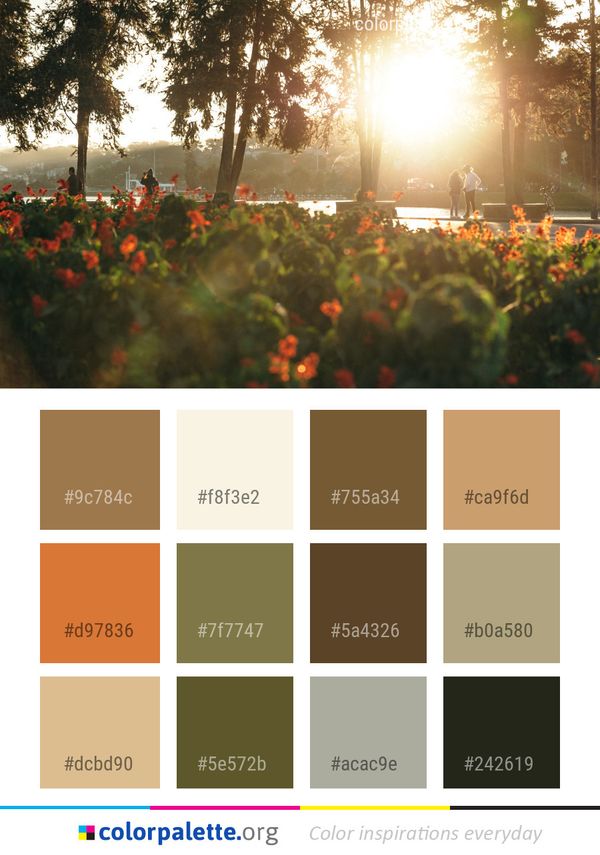 Nature Tree Plant Color Palette