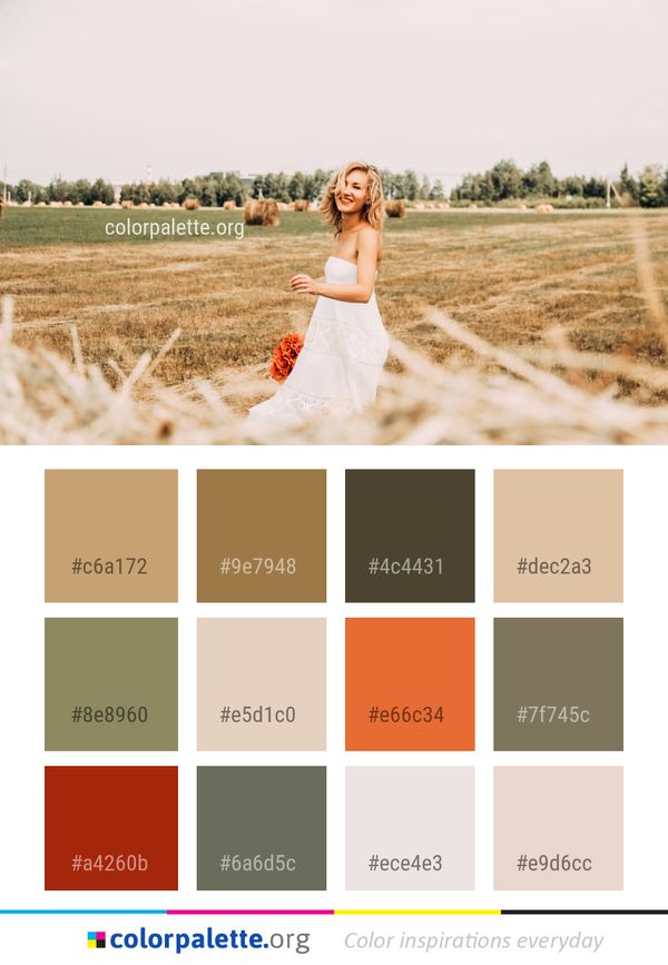 Photograph Field Grass Family Color Palette